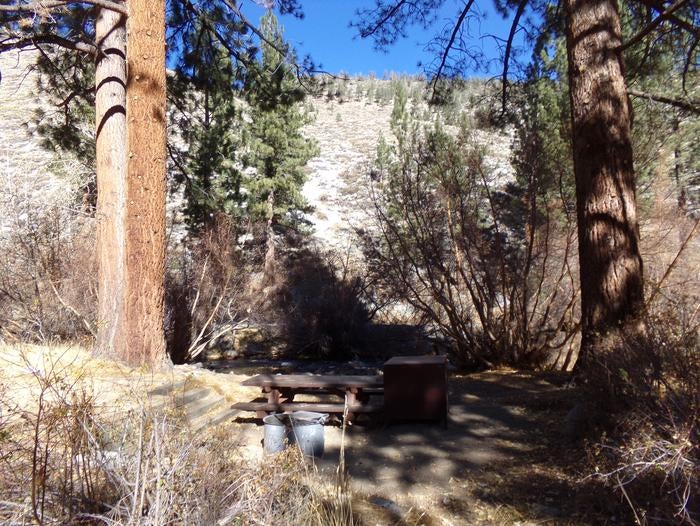Camper submitted image from Big Pine Creek Campground - 5
