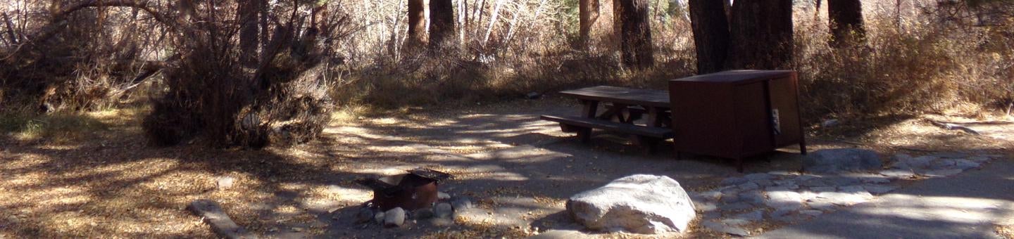 Camper submitted image from Big Pine Creek Campground - 3
