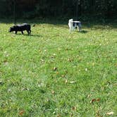Review photo of Mammoth Cave Campground — Mammoth Cave National Park by Staci R., August 1, 2017
