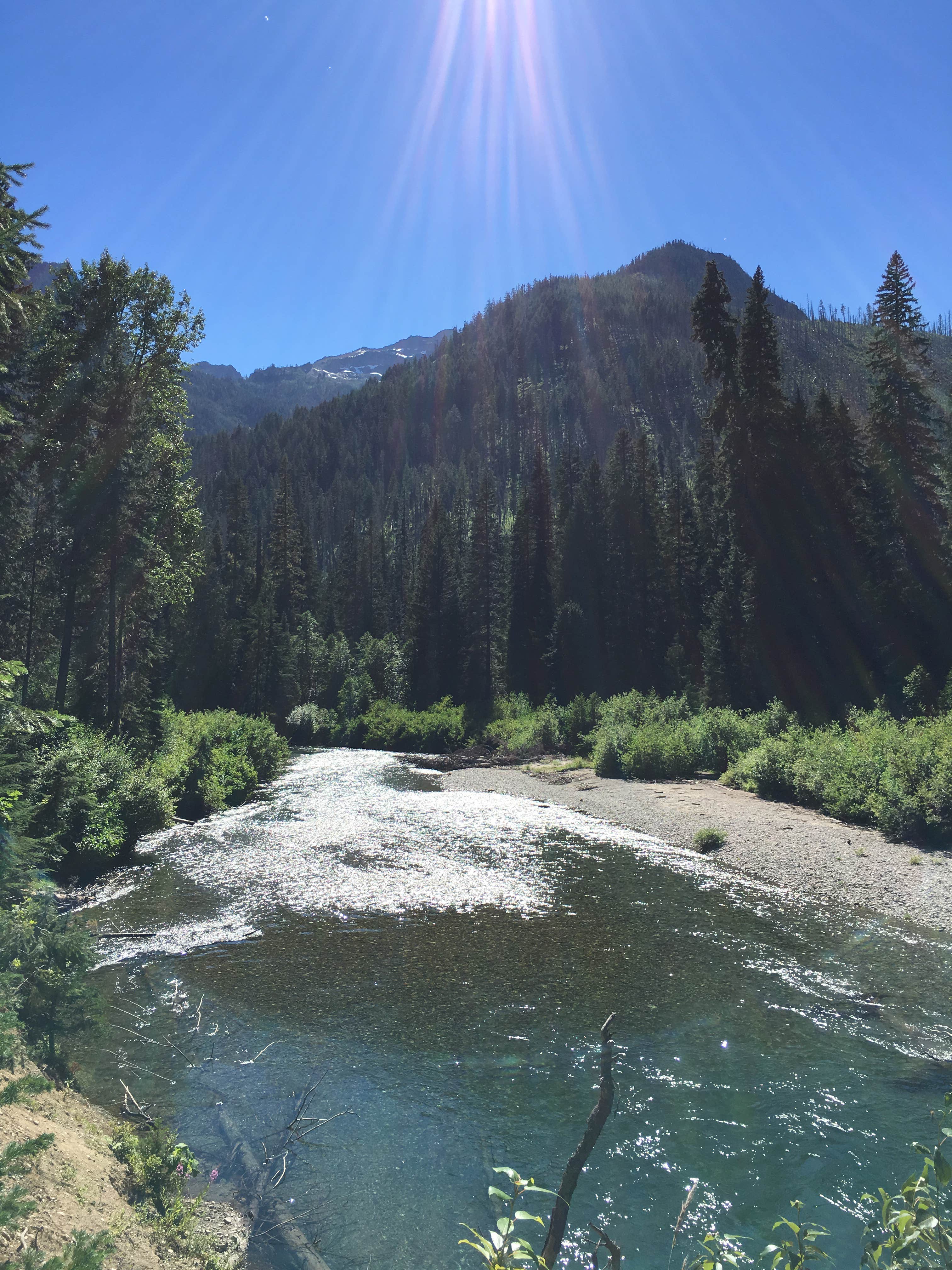 Camper submitted image from Atkinson Flat Campground - 1