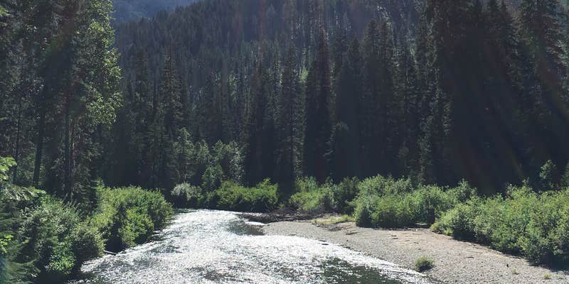 Camper submitted image from Atkinson Flat Campground