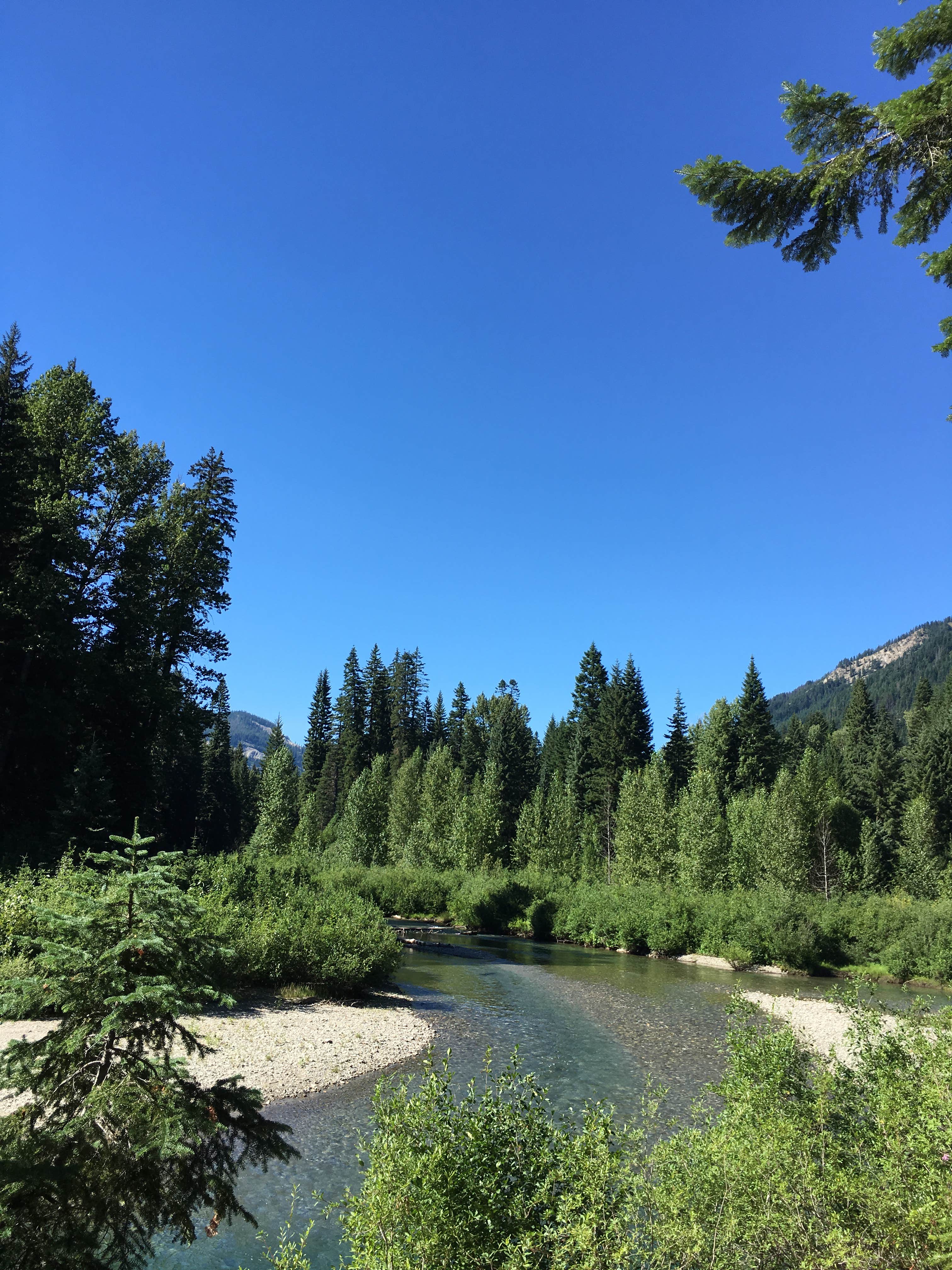 Camper submitted image from Atkinson Flat Campground - 2