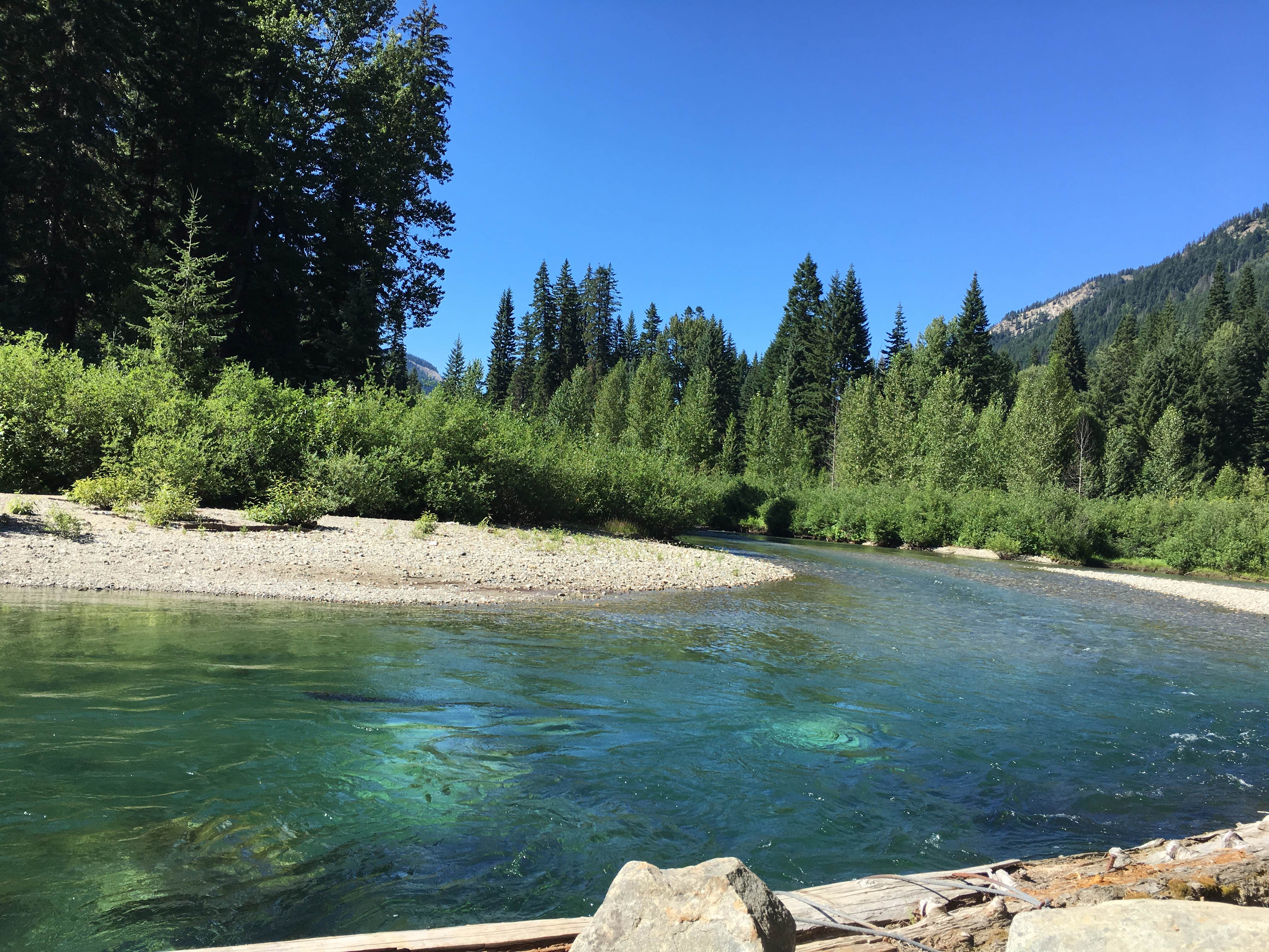 Camper submitted image from Atkinson Flat Campground - 3