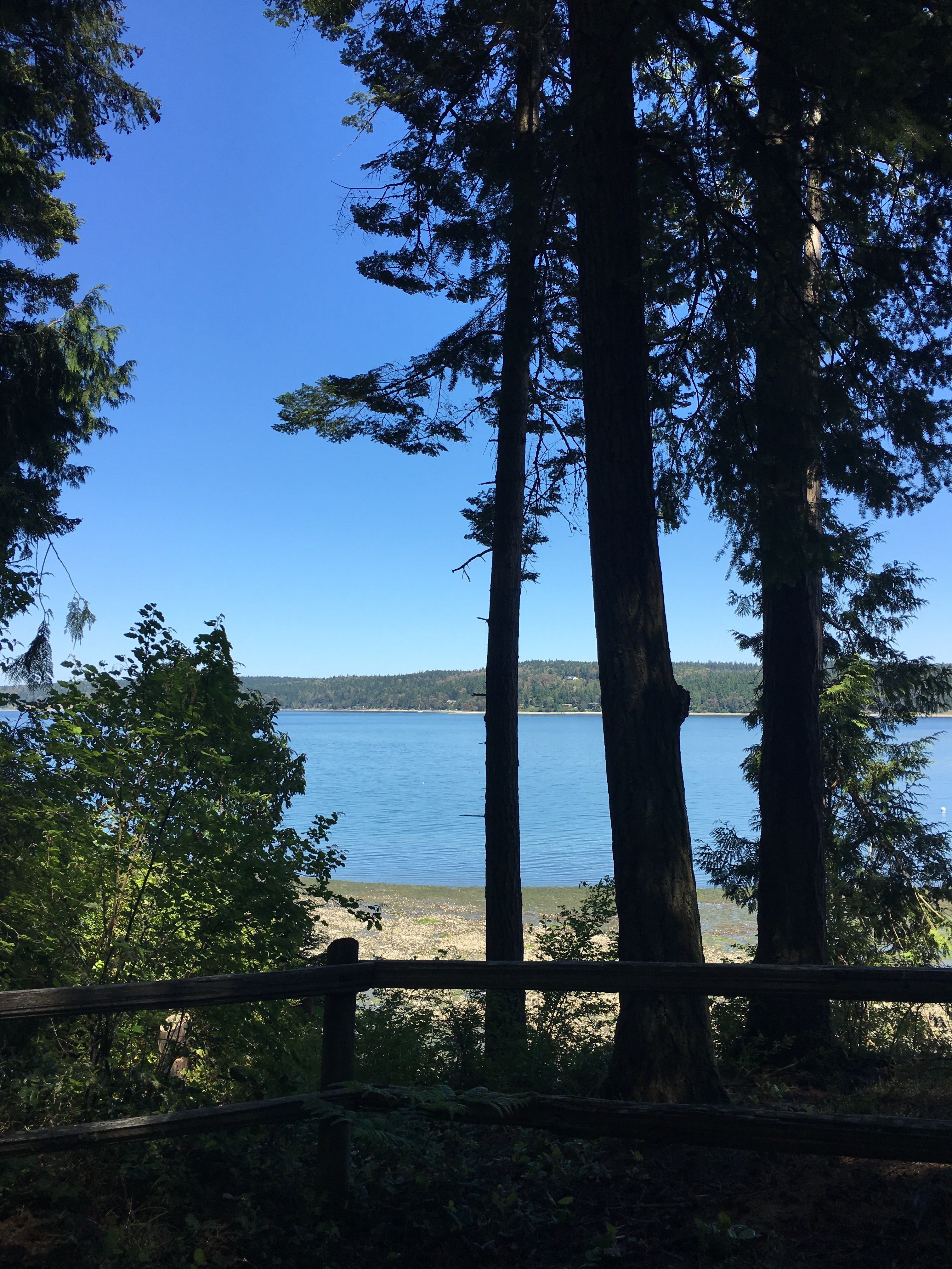 Camper submitted image from Sequim Bay State Park Campground - 2