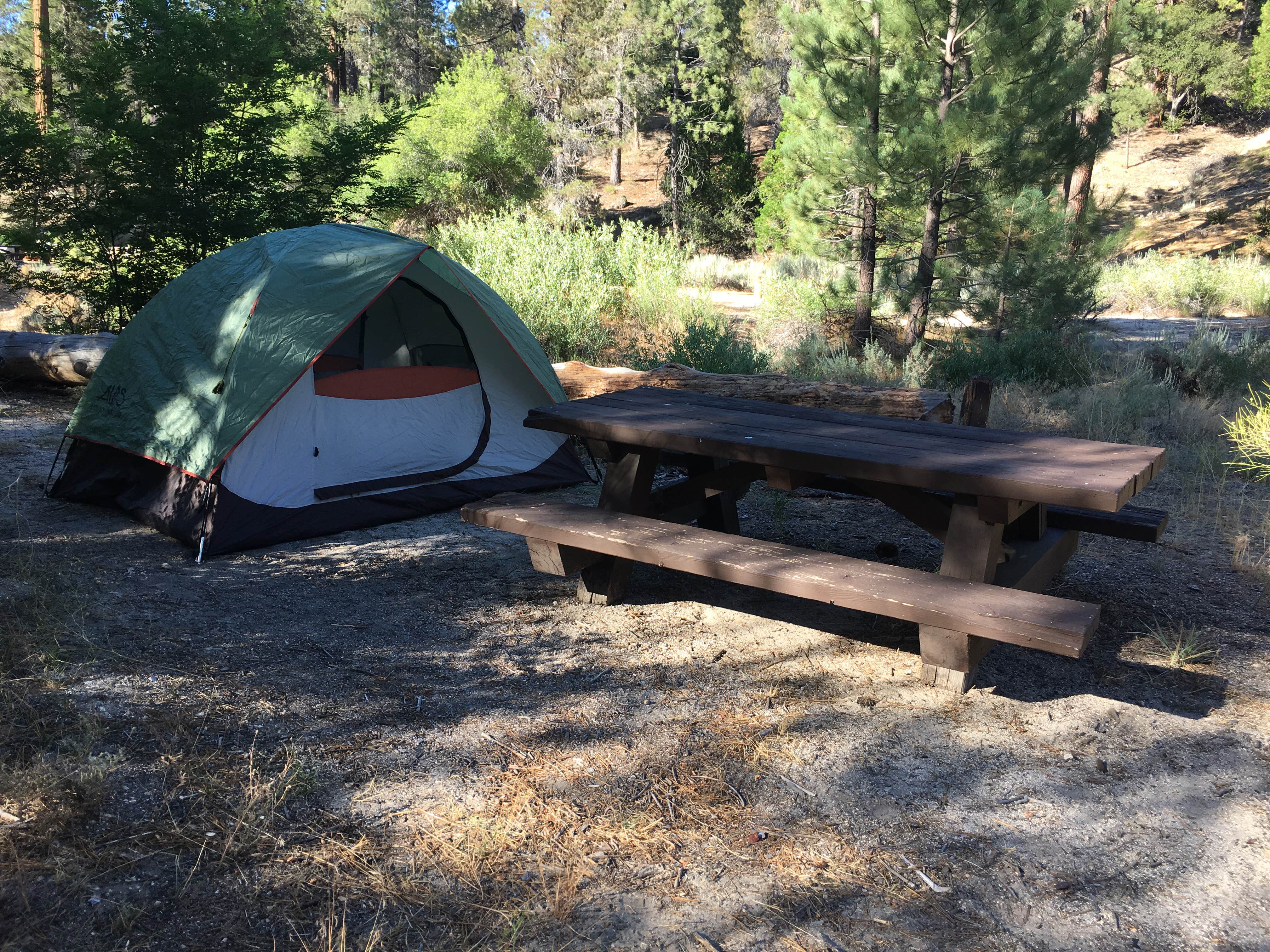 Camper submitted image from Chilao Campground - 2