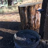 Review photo of Chilao Campground by Leslie R., August 1, 2017