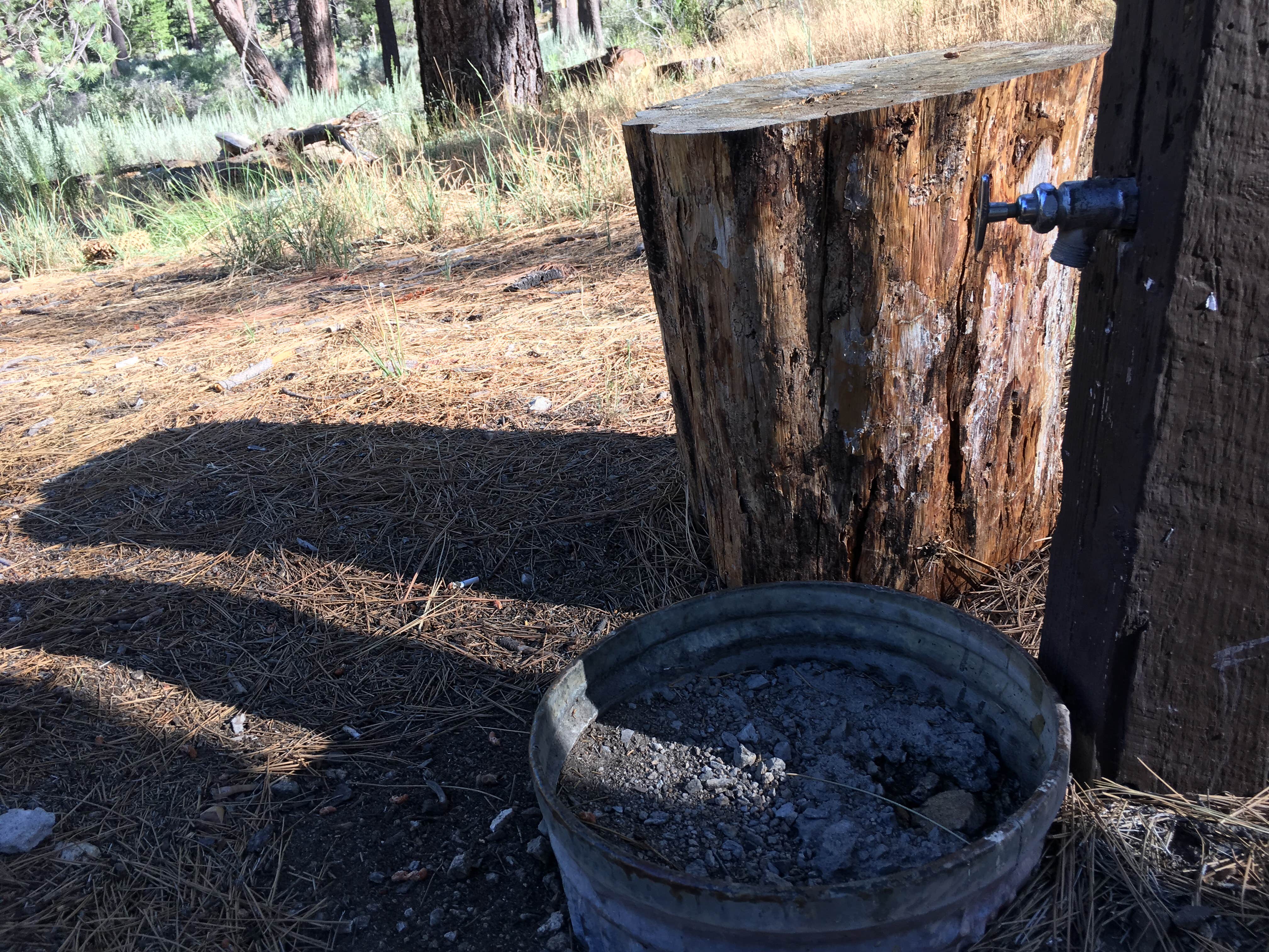 Camper submitted image from Chilao Campground - 2