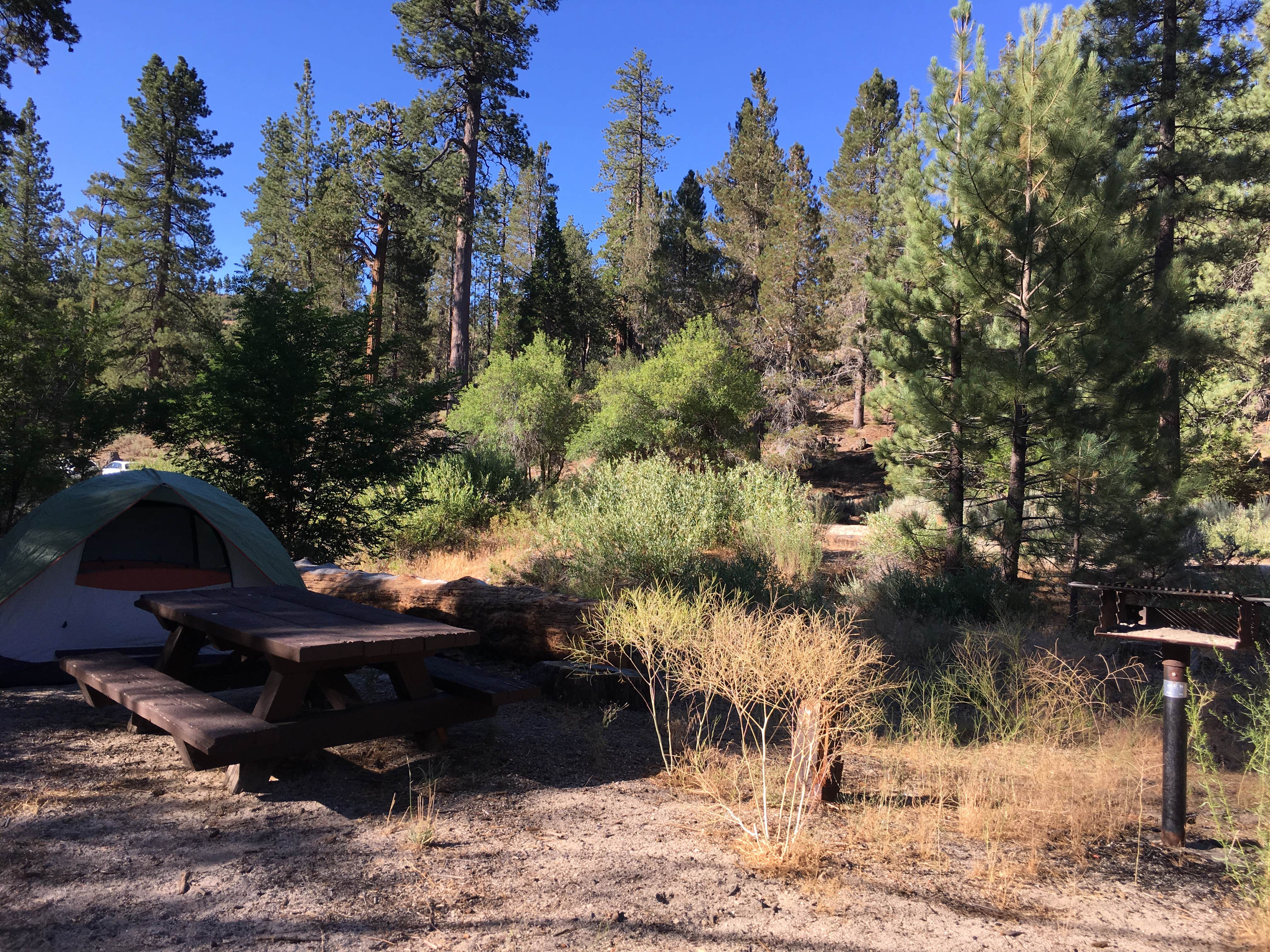 Chilao campground new arrivals