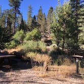 Review photo of Chilao Campground by Leslie R., August 1, 2017