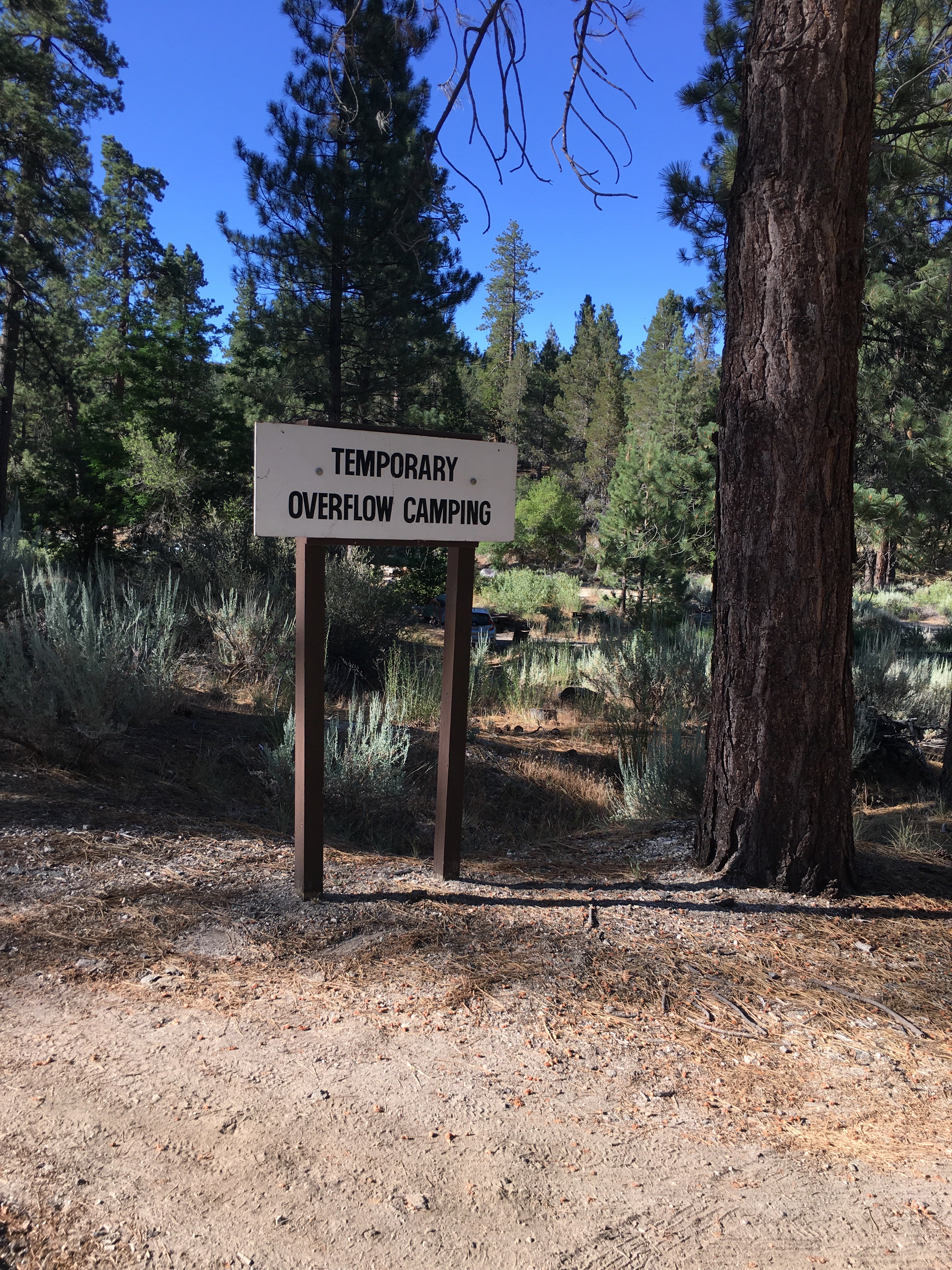 Look for this sign near the visitor center. There are two sections with "overflow" signs posted during the summer months