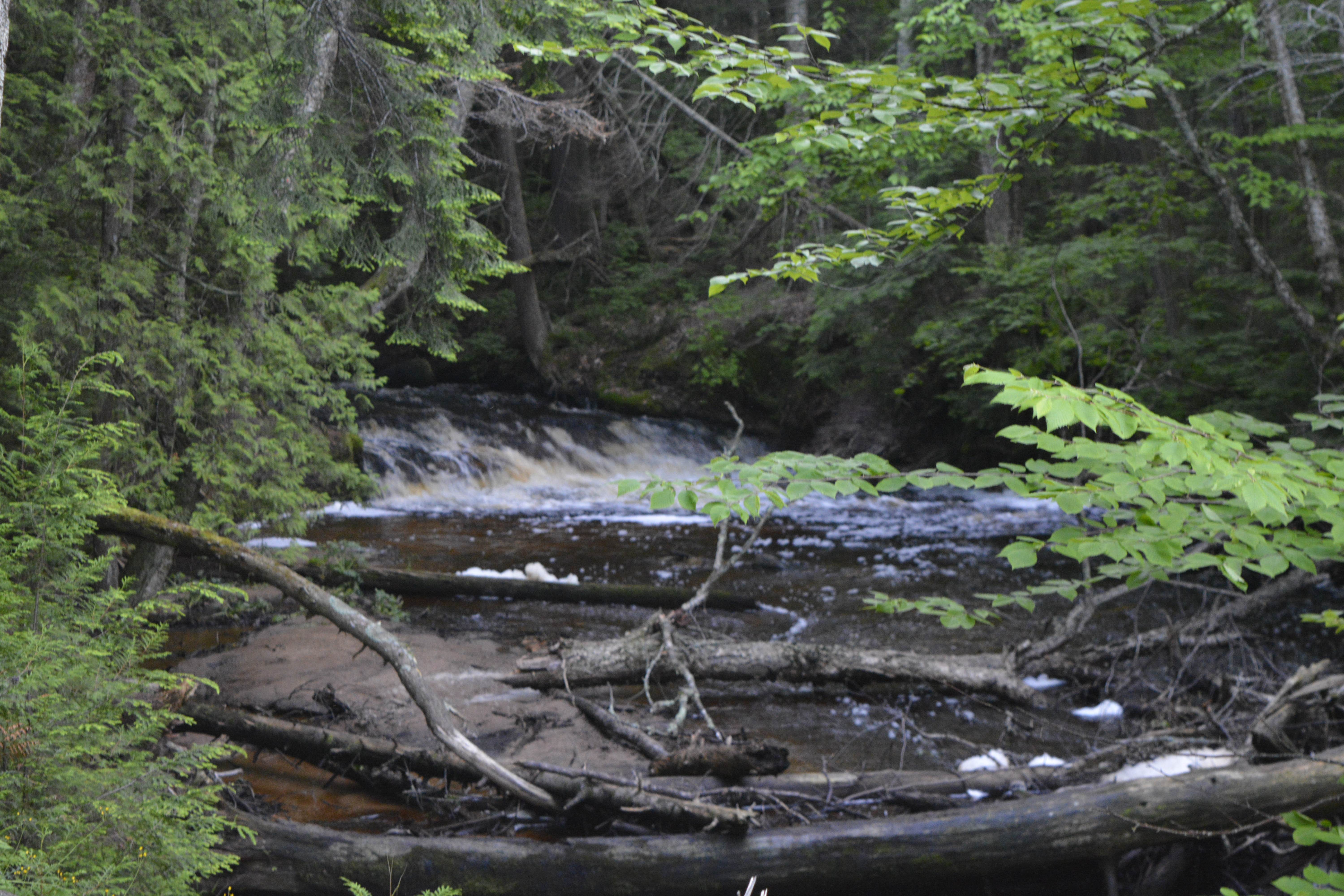 Camper submitted image from Hurricane River Campground — Pictured Rocks National Lakeshore - 3
