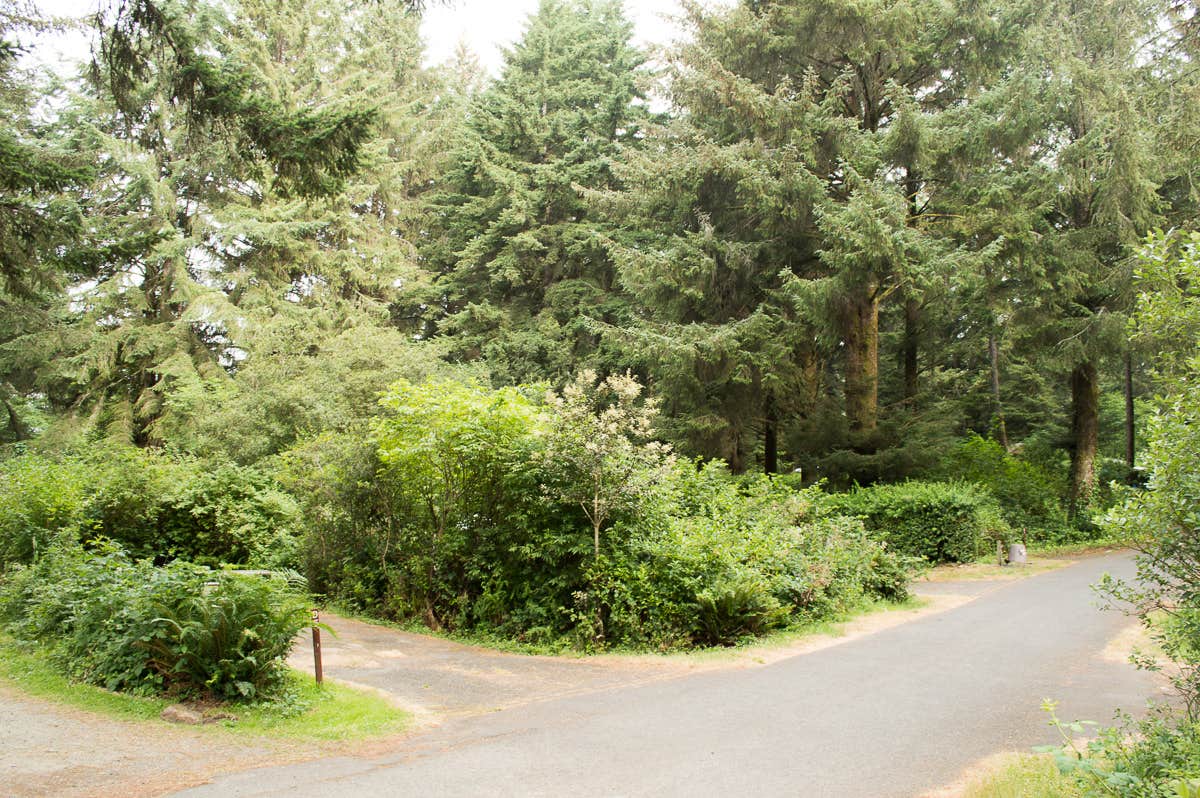 Camper submitted image from Harris Beach State Park Campground - 3