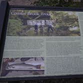 Review photo of Hurricane River Campground — Pictured Rocks National Lakeshore by Nona A., August 1, 2017