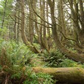 Review photo of Harris Beach State Park Campground by Lisa H., June 28, 2016