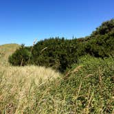 Review photo of Twin Harbors State Park Campground by Cheese H., August 1, 2017