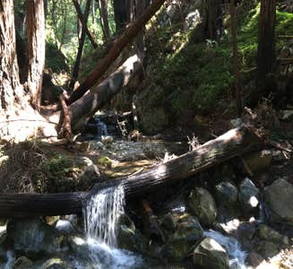 Camper-submitted photo from Limekiln State Park Campground — TEMPORARILY CLOSED