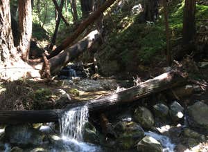 Limekiln State Park Campground