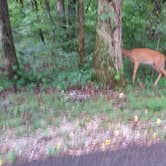 Review photo of Gobbler's Run Campground — Lincoln State Park by Jerry  R., August 2, 2017