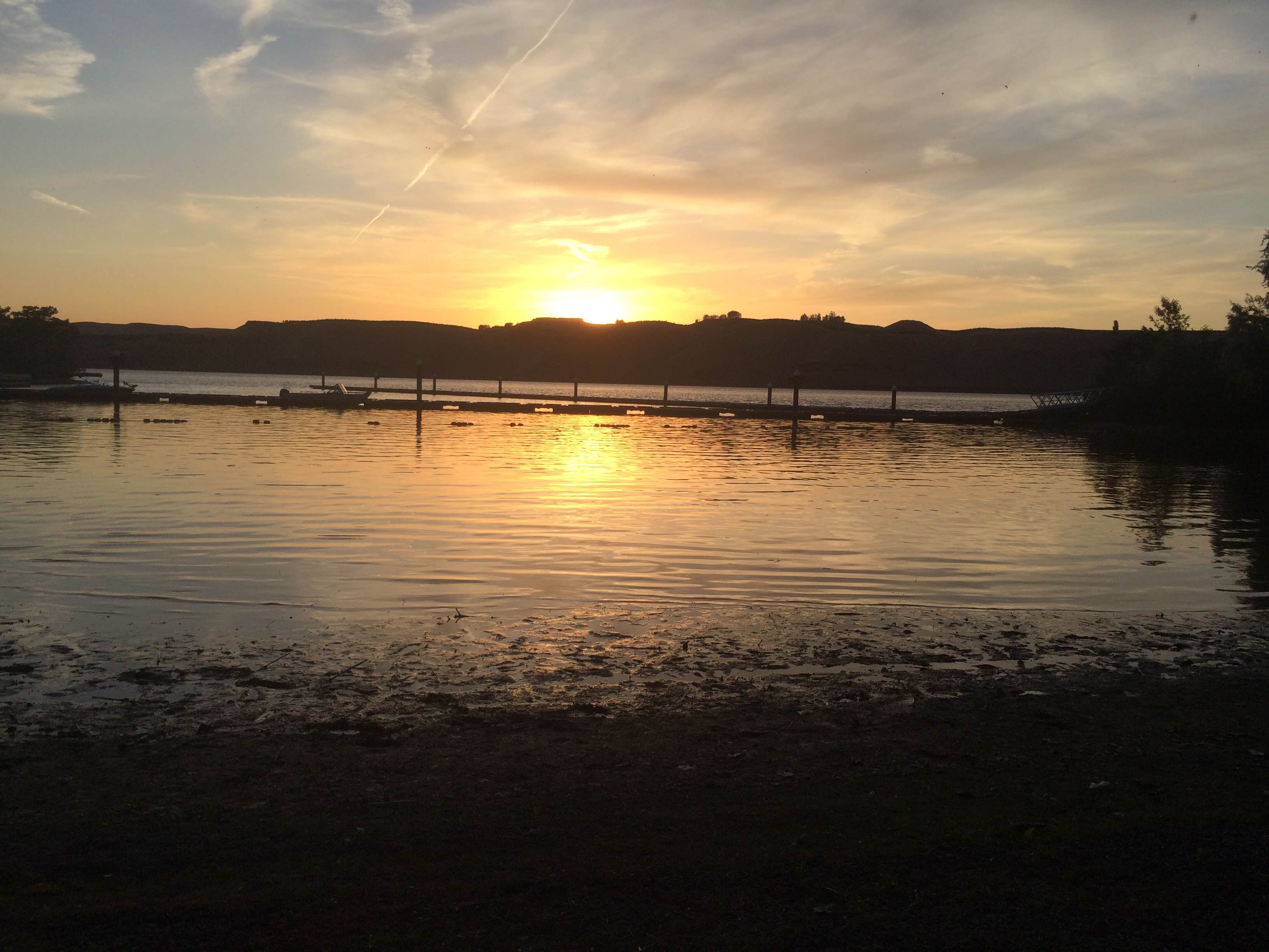 Camper submitted image from Fishhook Park - 5