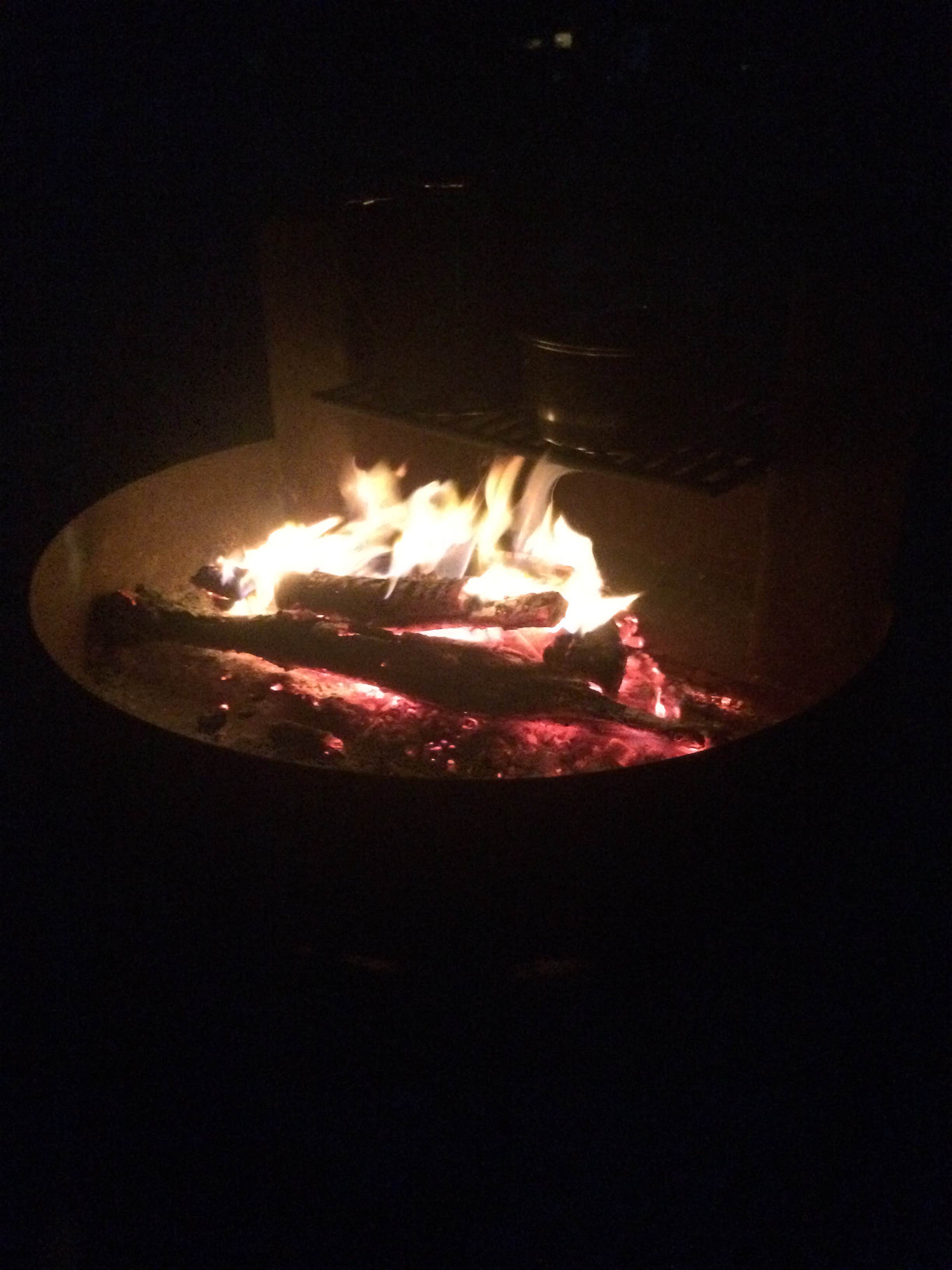 Camper submitted image from Fishhook Park - 5
