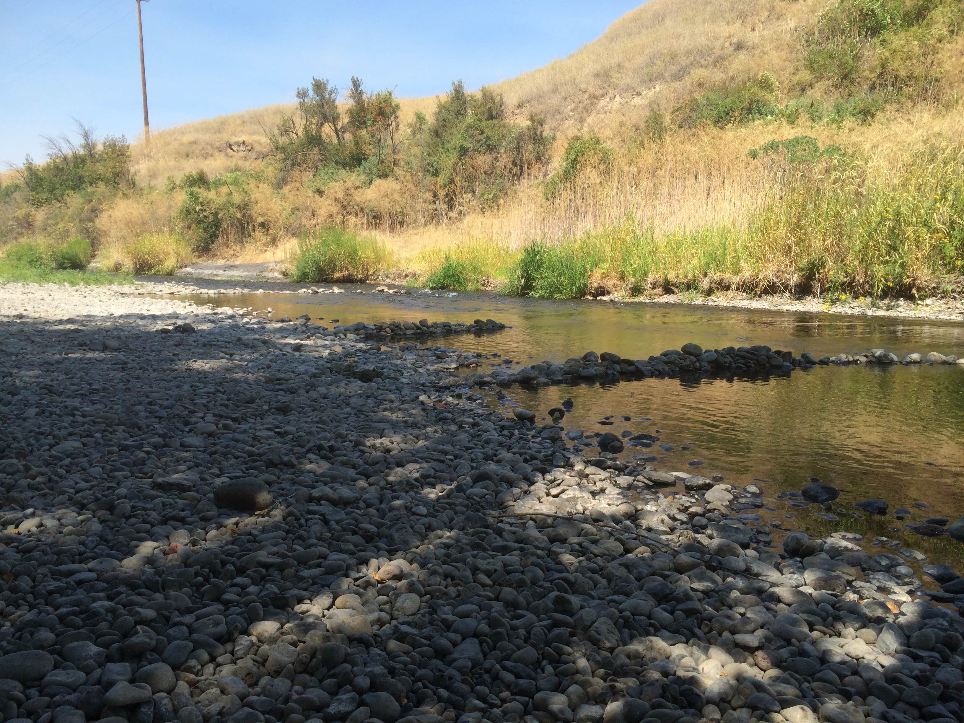 Camper submitted image from Lewis & Clark Trail State Park Campground - 5