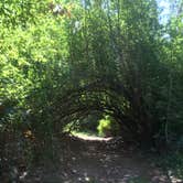 Review photo of Lewis & Clark Trail State Park Campground by Nanette C., August 2, 2017