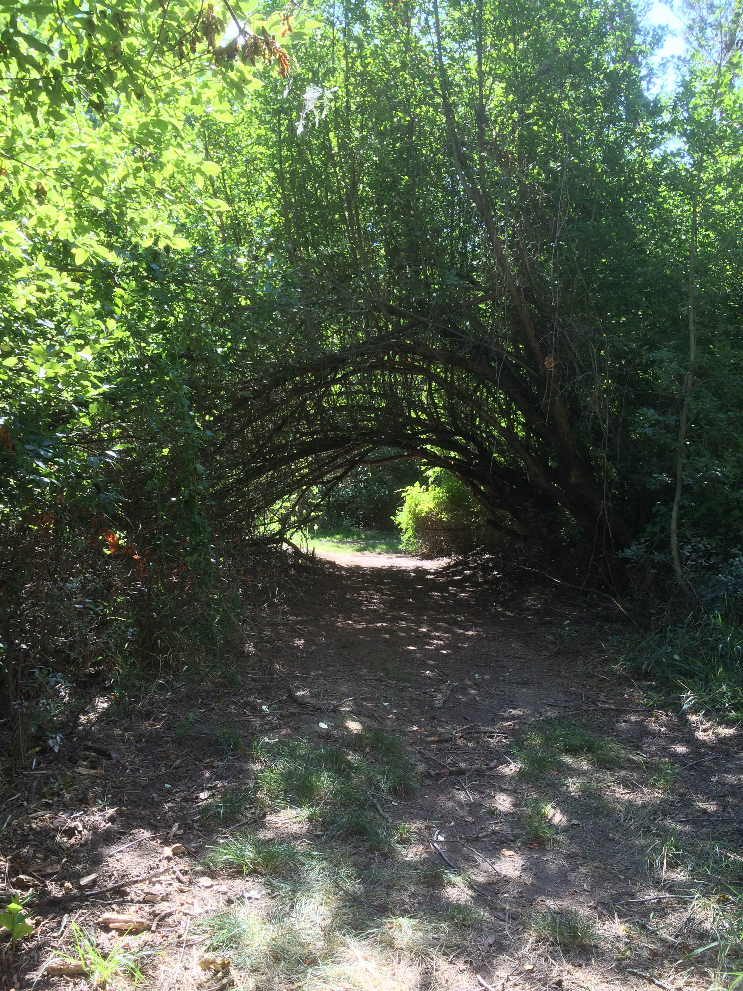 Camper submitted image from Lewis & Clark Trail State Park Campground - 3
