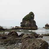 Review photo of Harris Beach State Park Campground by Lisa H., June 28, 2016