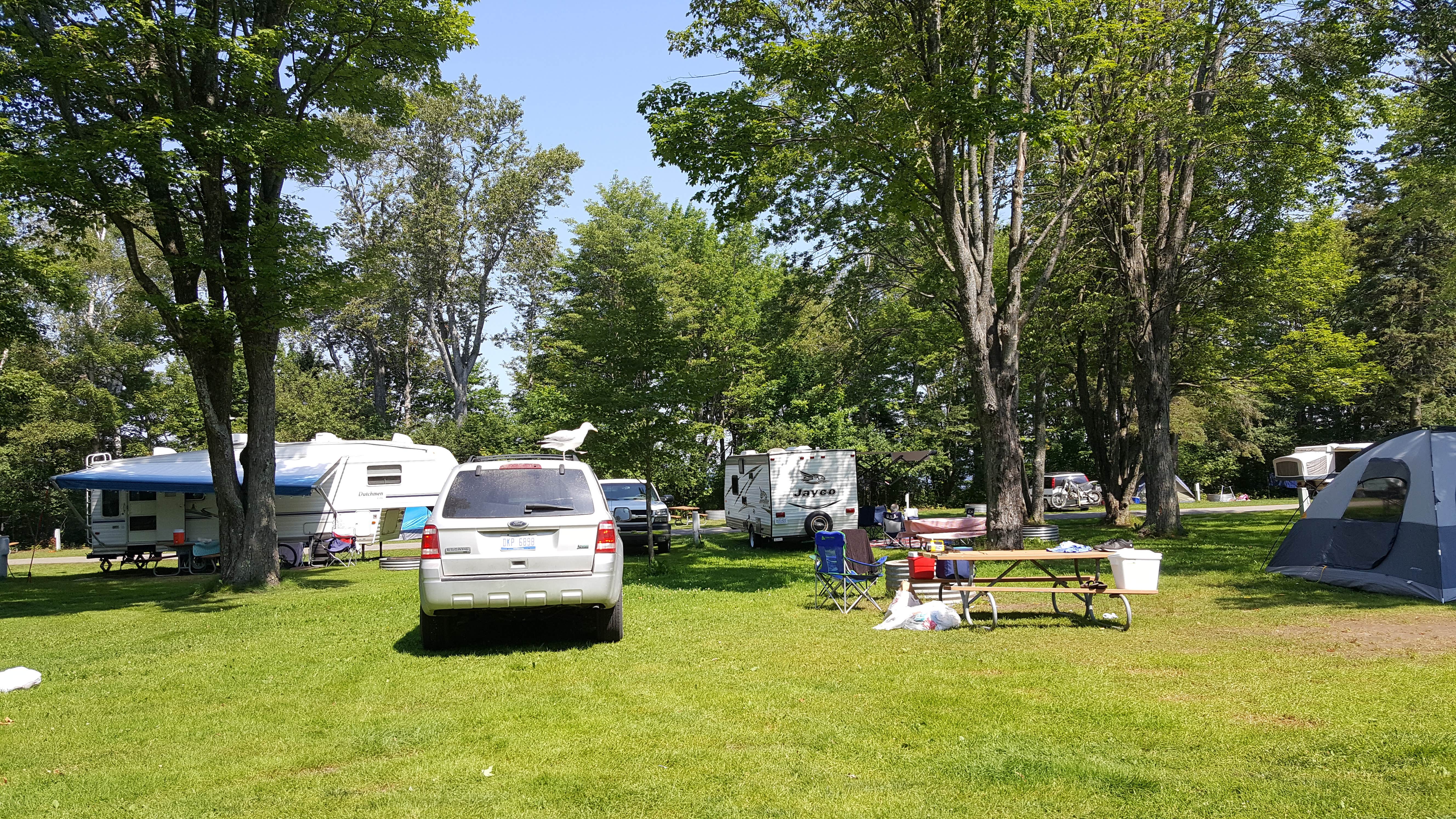 Stephanie C.'s photo of rv camping at Brimley State Park Campground near Sault Ste. Marie, MI