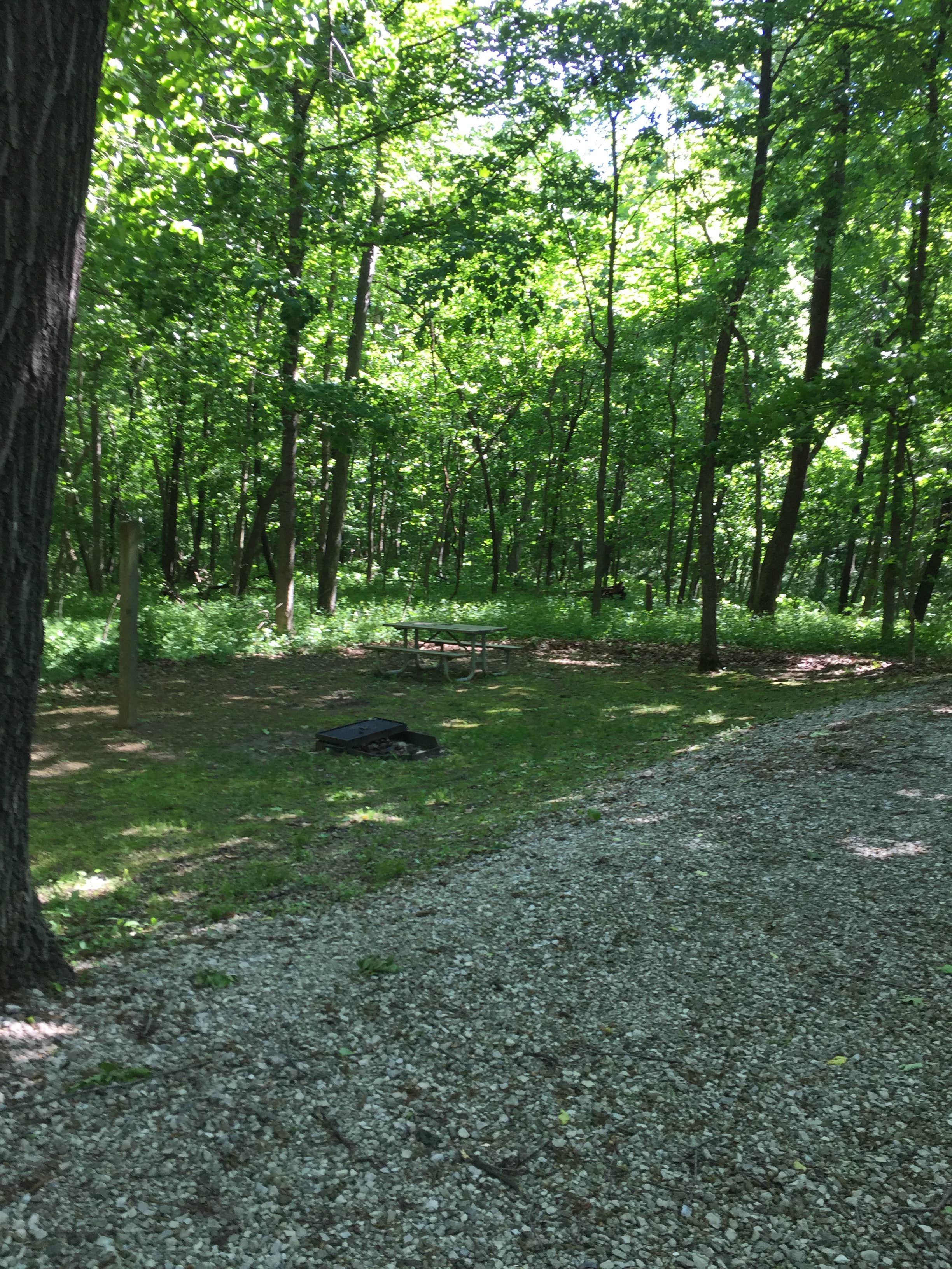 Camper-submitted photo at Battle of Athens State Park Campground near Keosauqua, IA