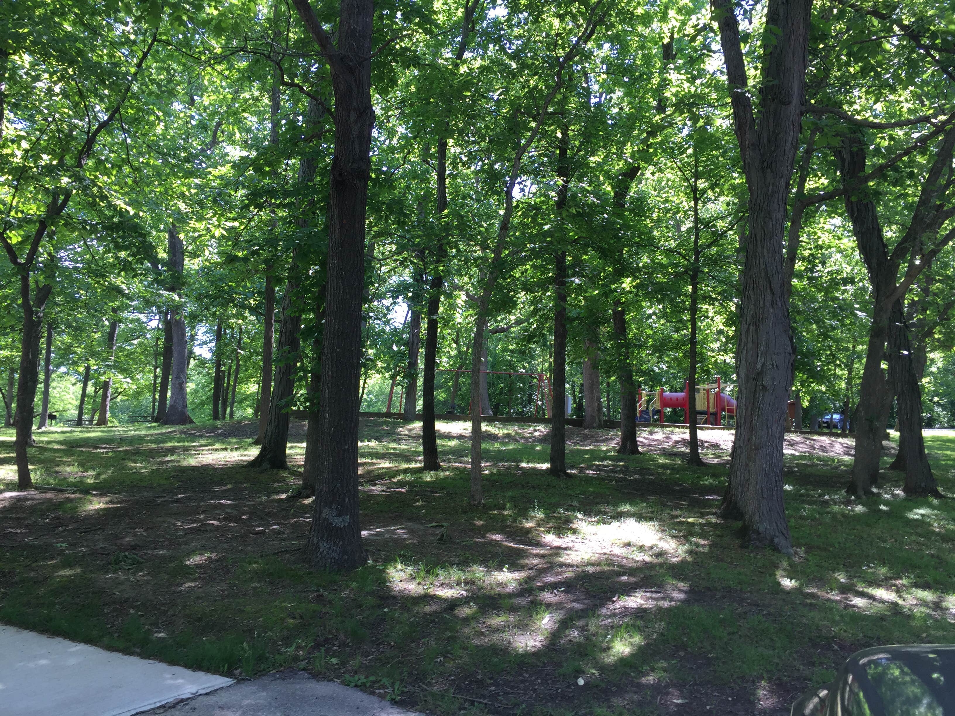 Camper submitted image from Battle of Athens State Park Campground - 1