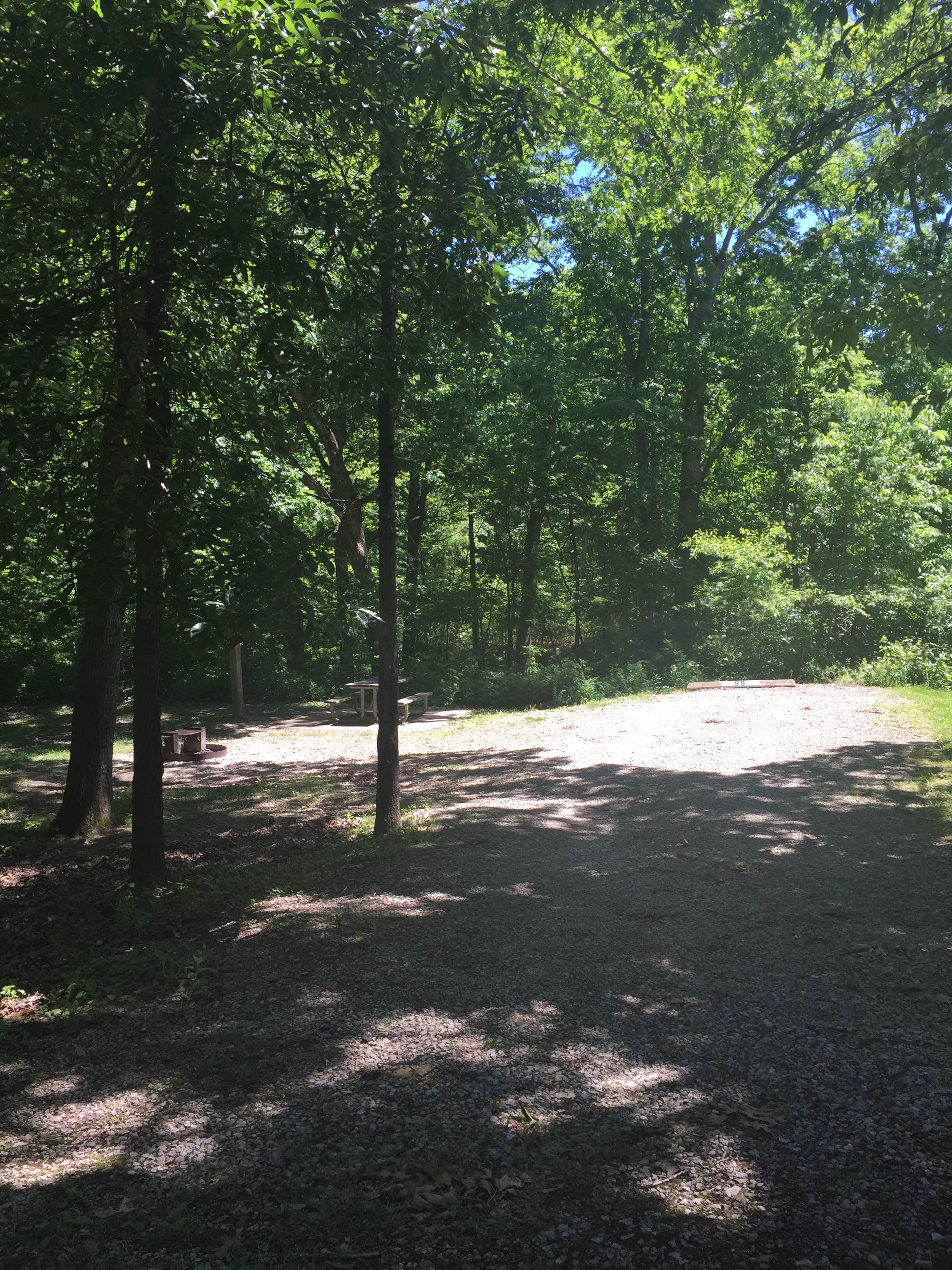 Camper submitted image from Knob Noster State Park Campground - 3