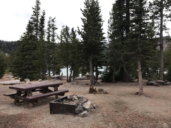 Camper submitted image from Driftwood Campground - Deschutes - 3