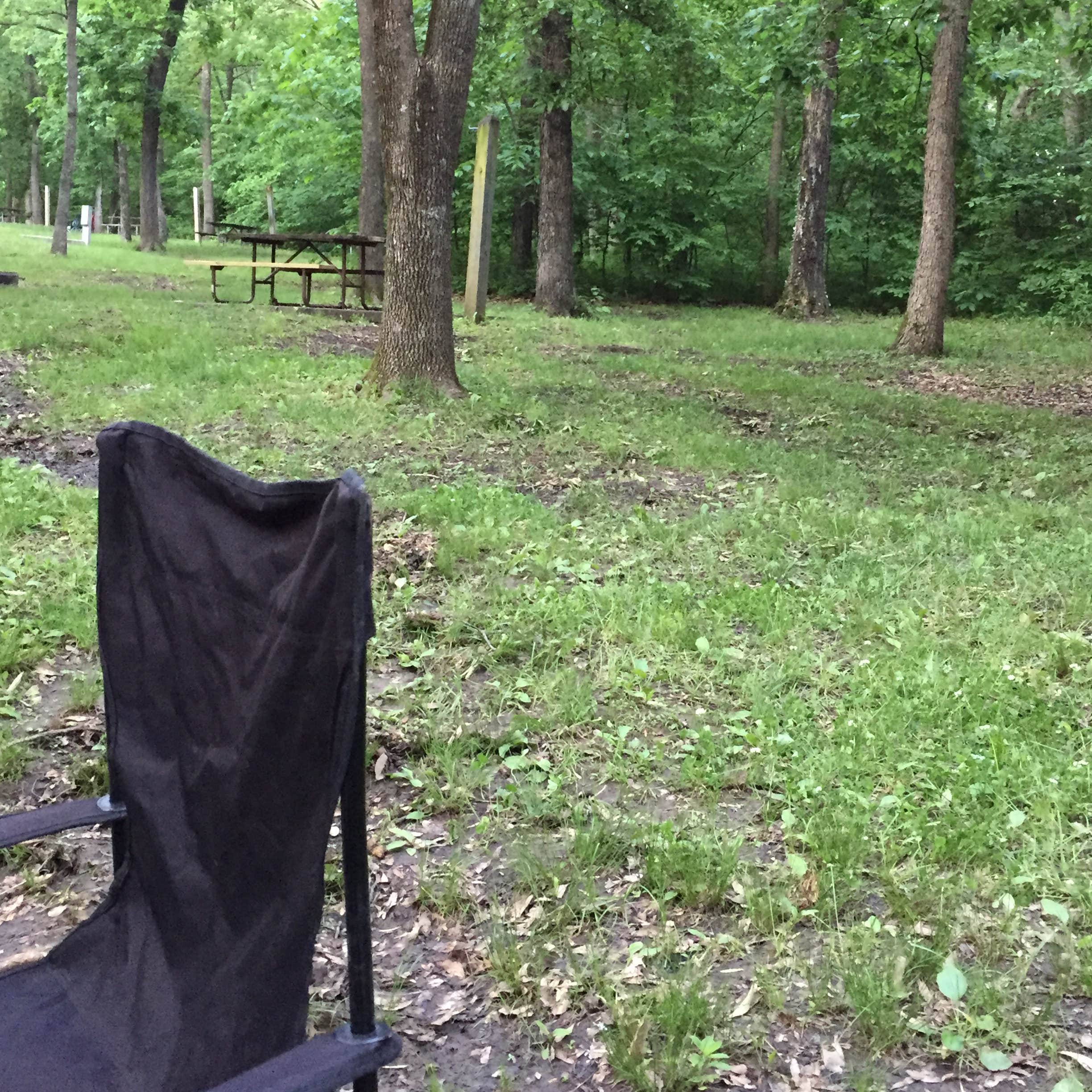 Knob Noster State Park Camping The Dyrt