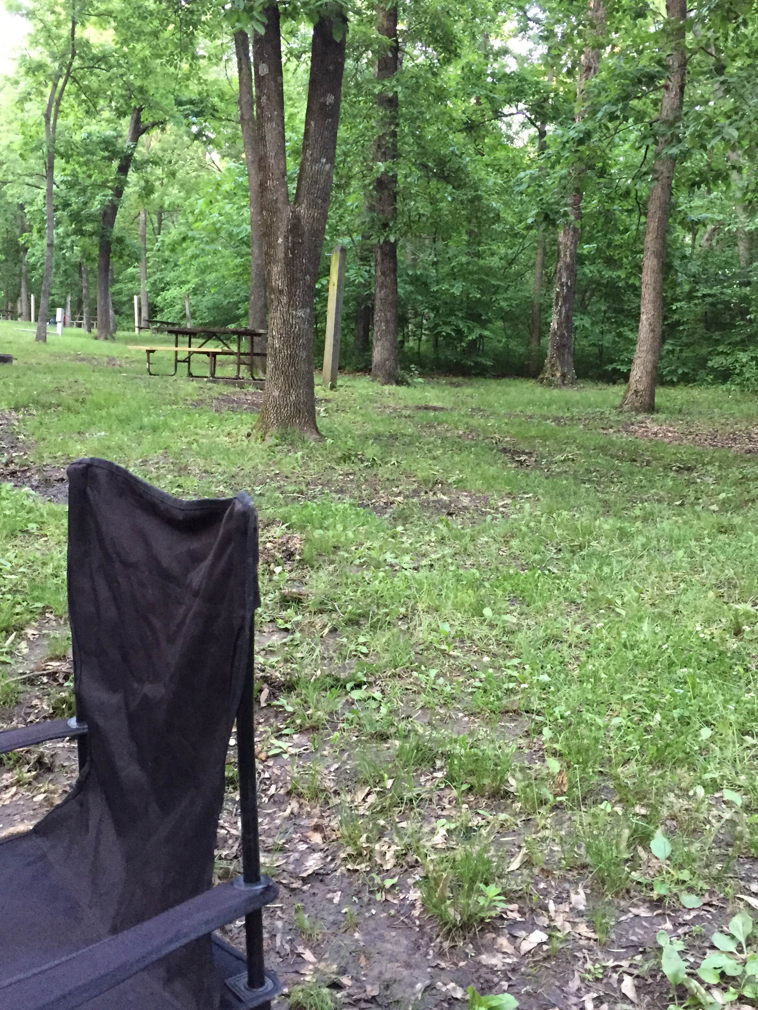 Camper submitted image from Knob Noster State Park Campground - 2