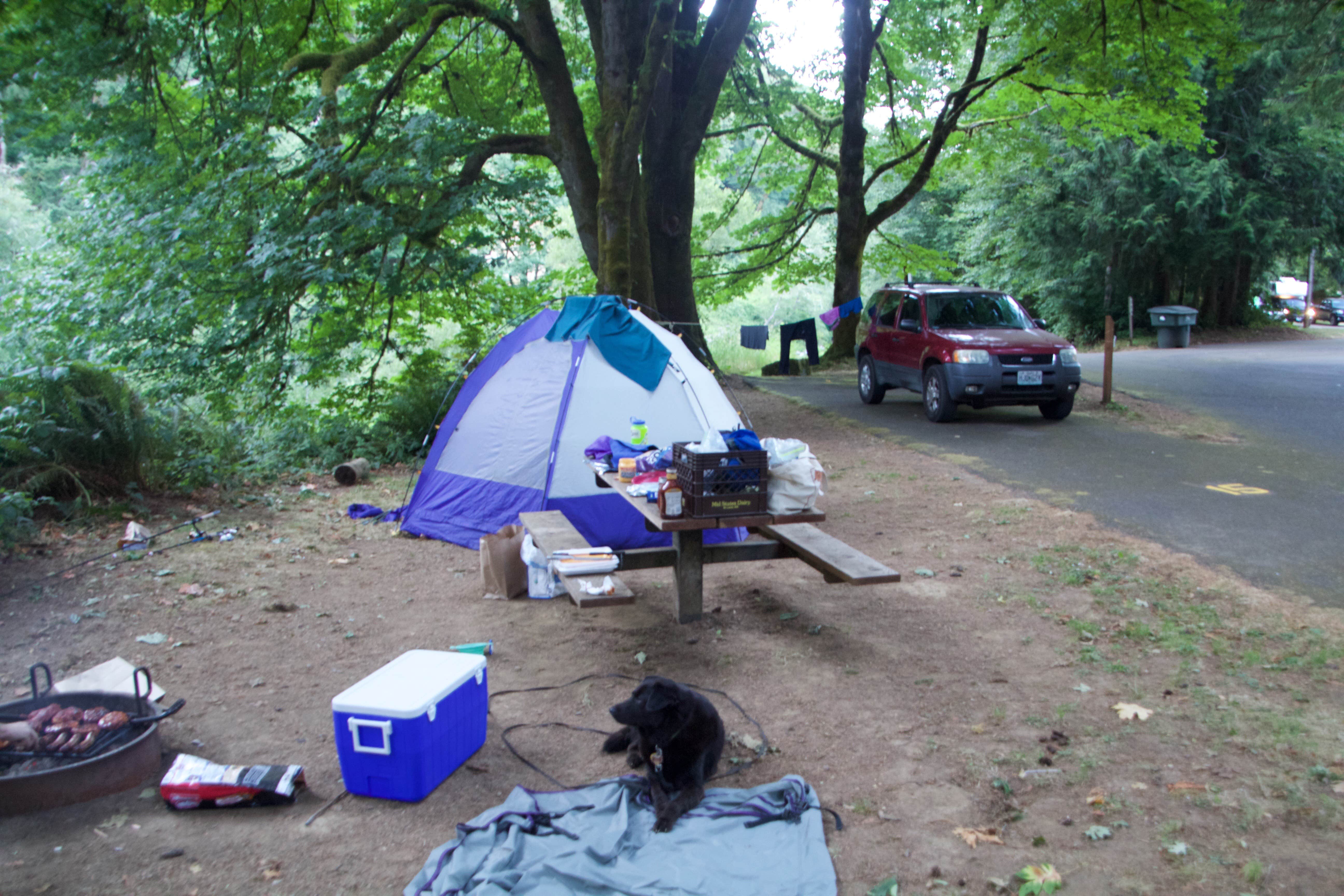 Emma L.'s photo at Blackberry near Blodgett, OR