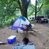Review photo of Siuslaw National Forest Blackberry Campground by Emma L., August 2, 2017