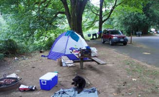 Emma L.'s photo of camping with pets at Blackberry near Toledo, OR