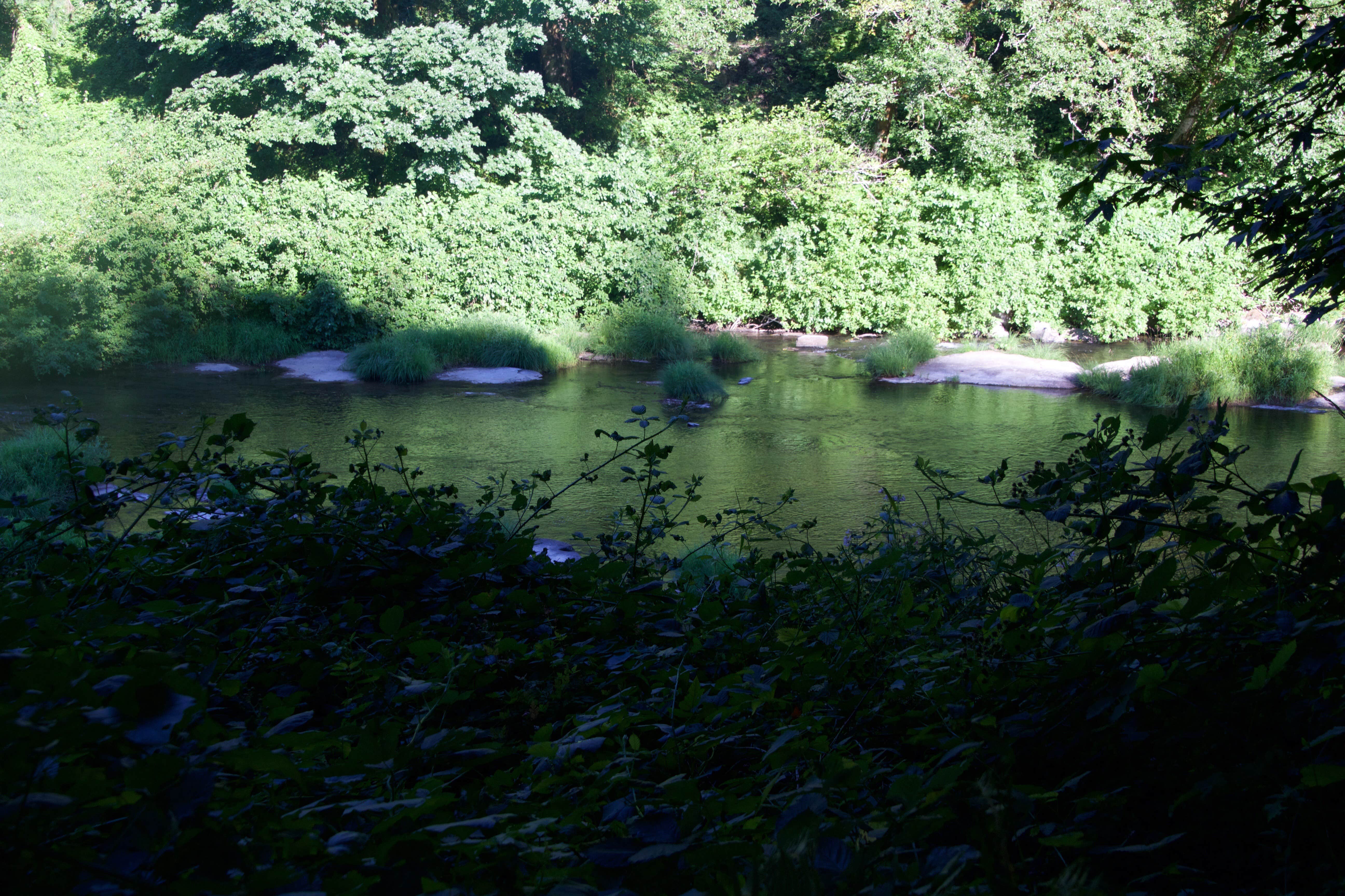 Water