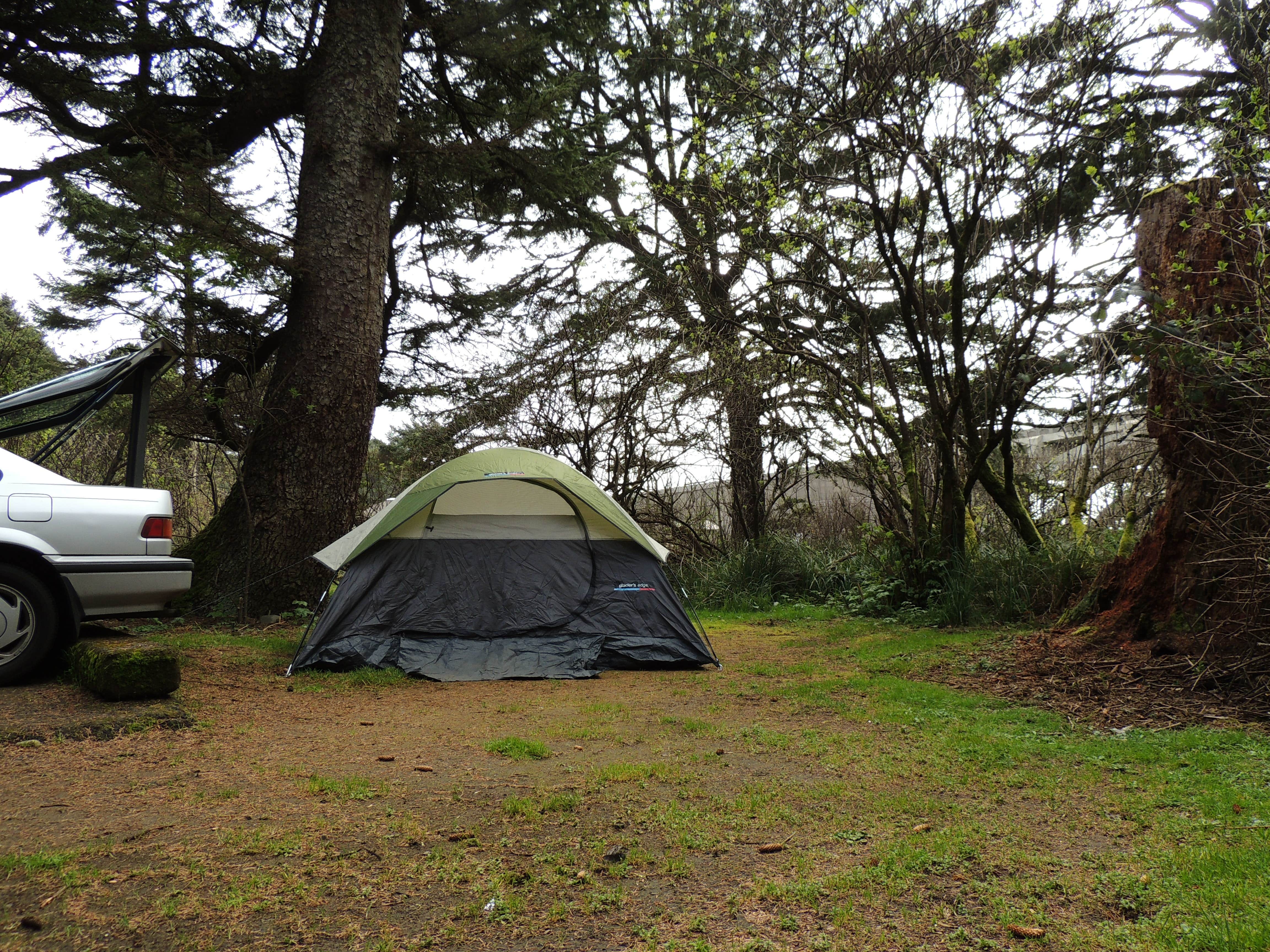 Tj B.'s photo at Beverly Beach State Park Campground near Newport, OR