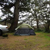 Review photo of Beverly Beach State Park Campground by Tj B., August 2, 2017