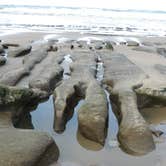 Review photo of Beverly Beach State Park Campground by Tj B., August 2, 2017