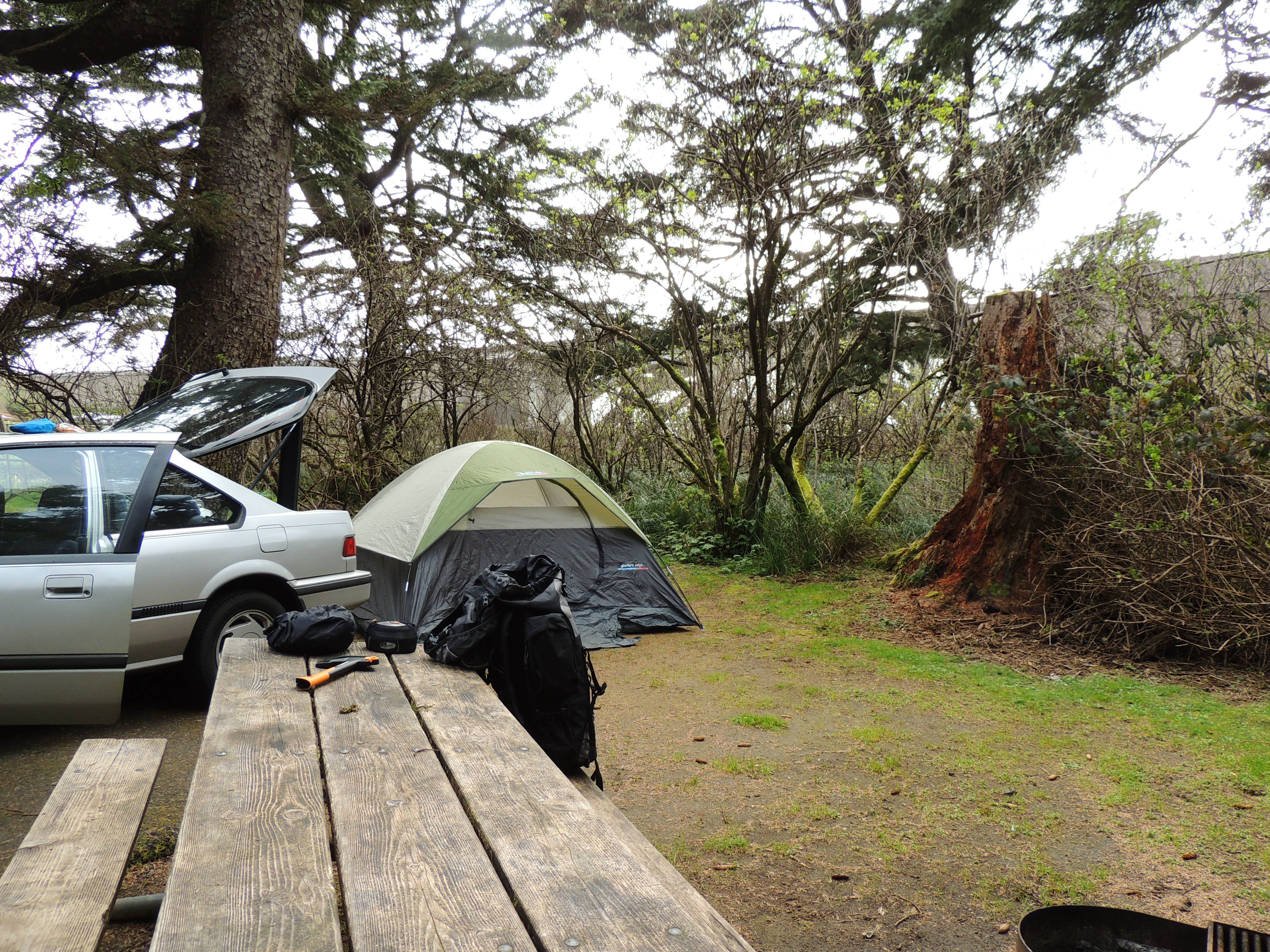 Tj B.'s photo at Beverly Beach State Park Campground near Lincoln City, OR