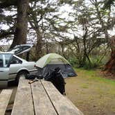 Review photo of Beverly Beach State Park Campground by Tj B., August 2, 2017