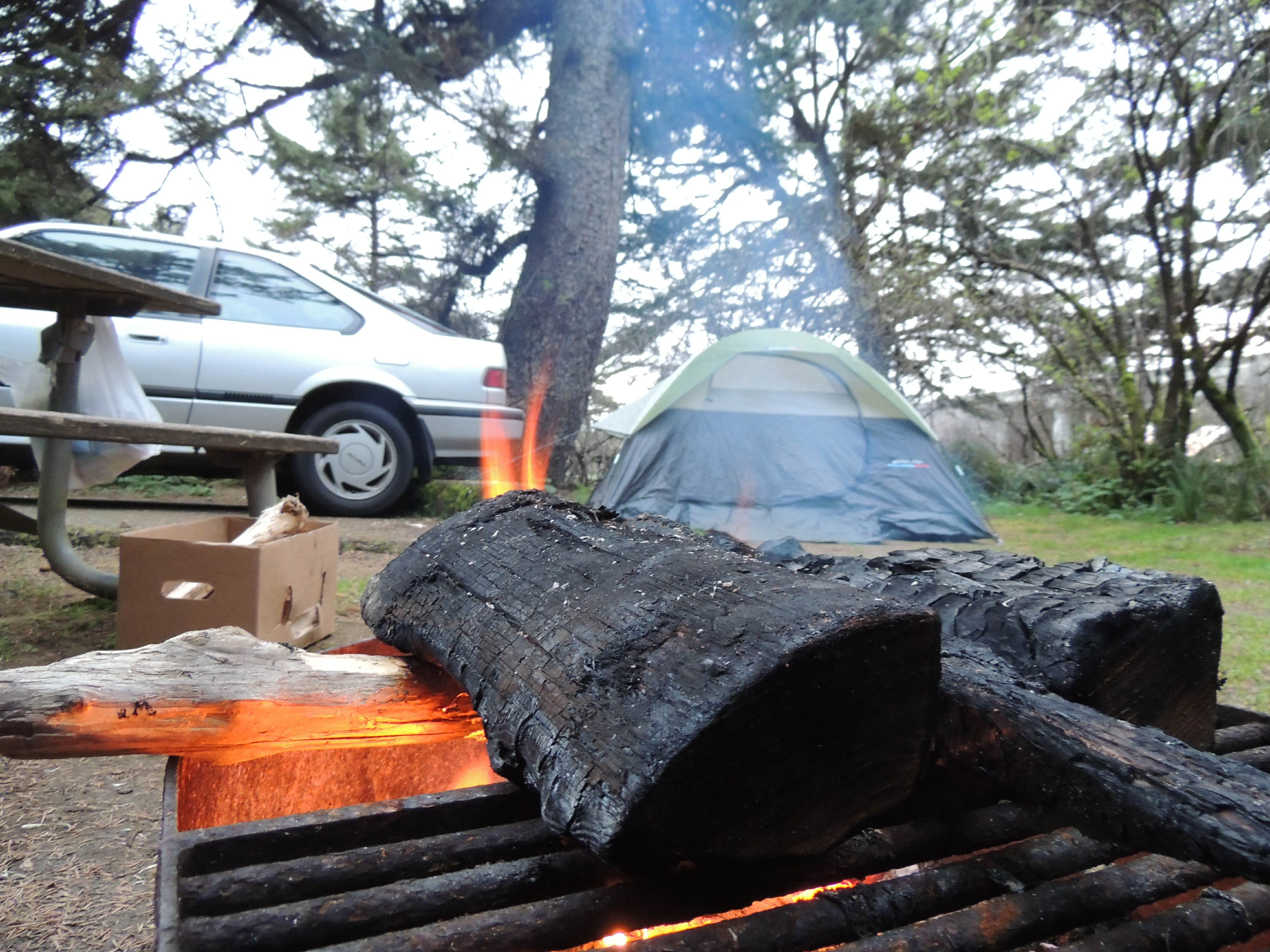Tj B.'s photo at Beverly Beach State Park Campground near Waldport, OR