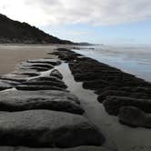 Review photo of Beverly Beach State Park Campground by Tj B., August 2, 2017