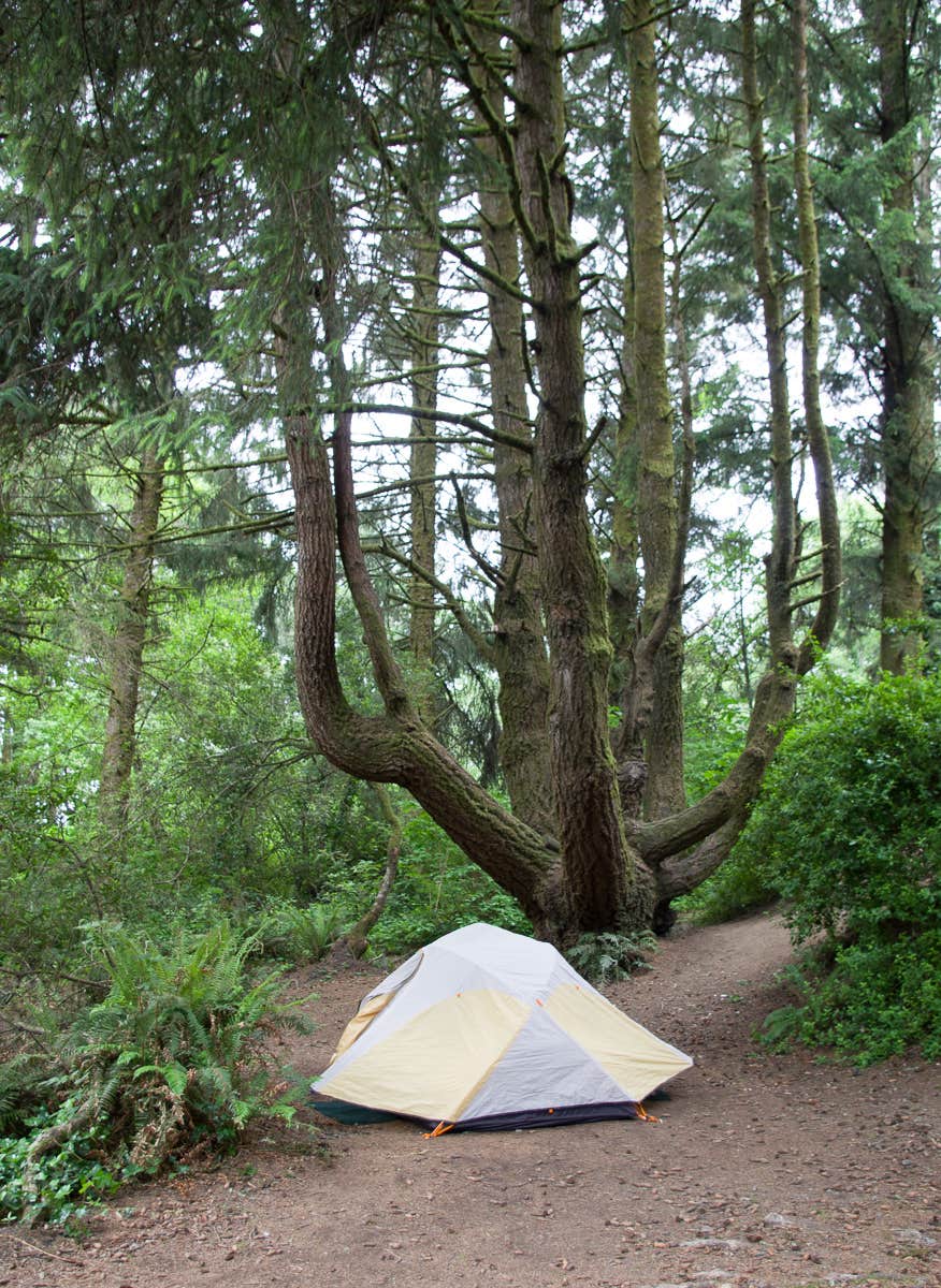 Camper submitted image from Harris Beach State Park Campground - 4