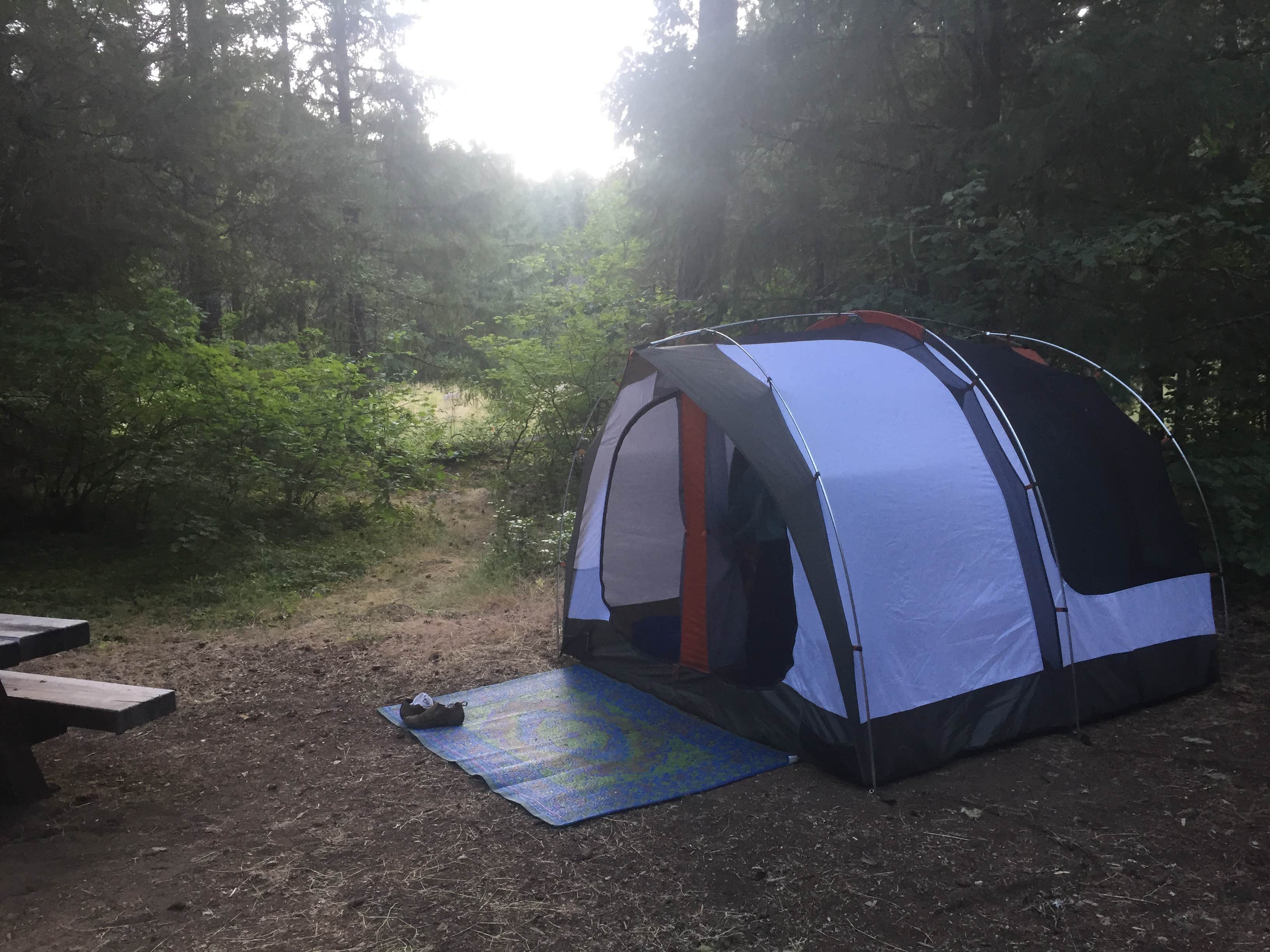 Sofia S.'s photo at Toketee Lake Campground — Umpqua National Forest near Umpqua National Forest