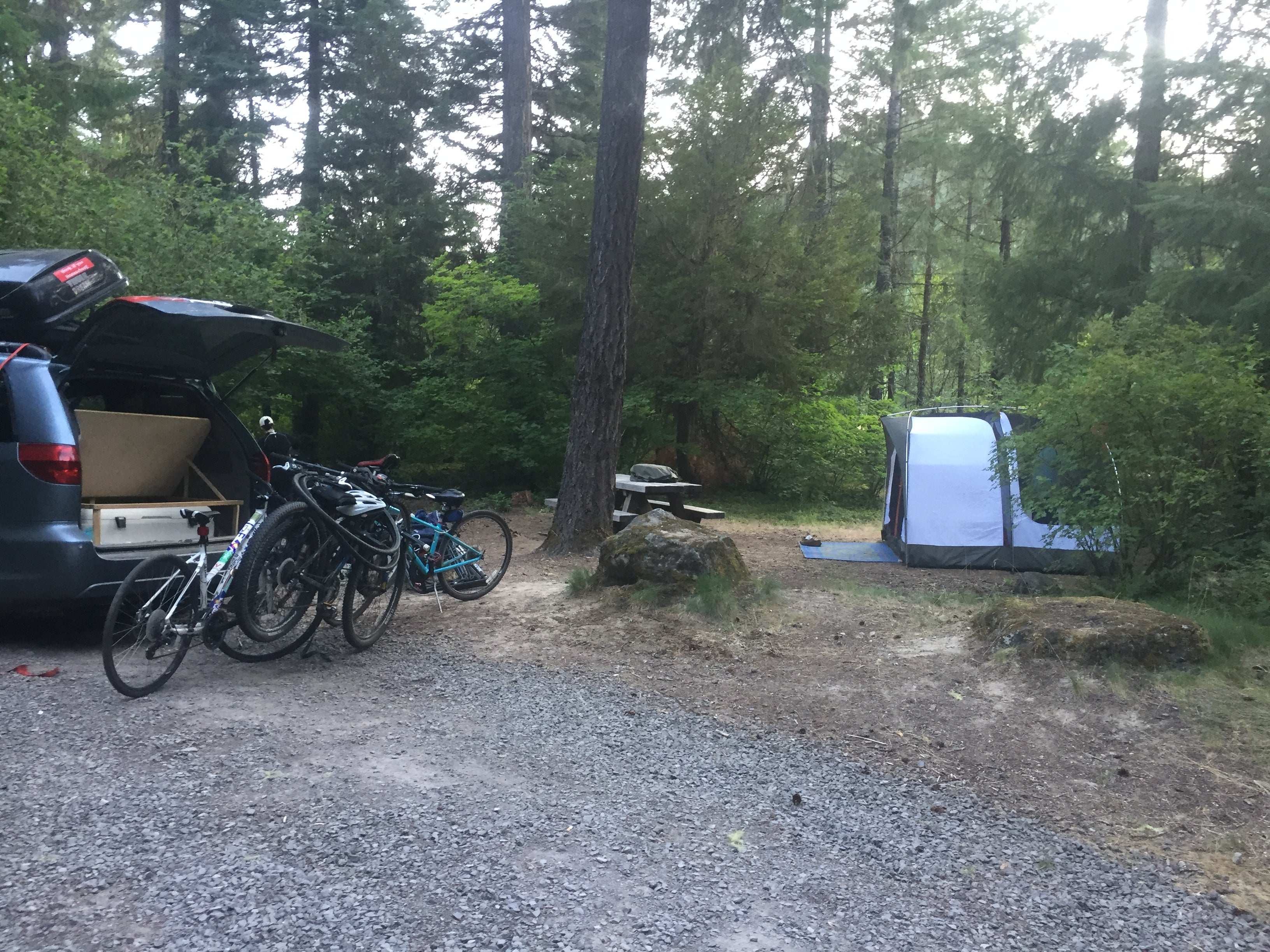 Camper submitted image from Toketee Lake Campground - 5