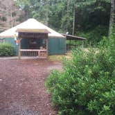 Review photo of Jessie M. Honeyman Memorial State Park Campground by Sofia S., August 2, 2017